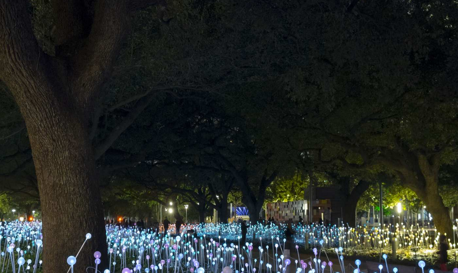 光纤灯亮化