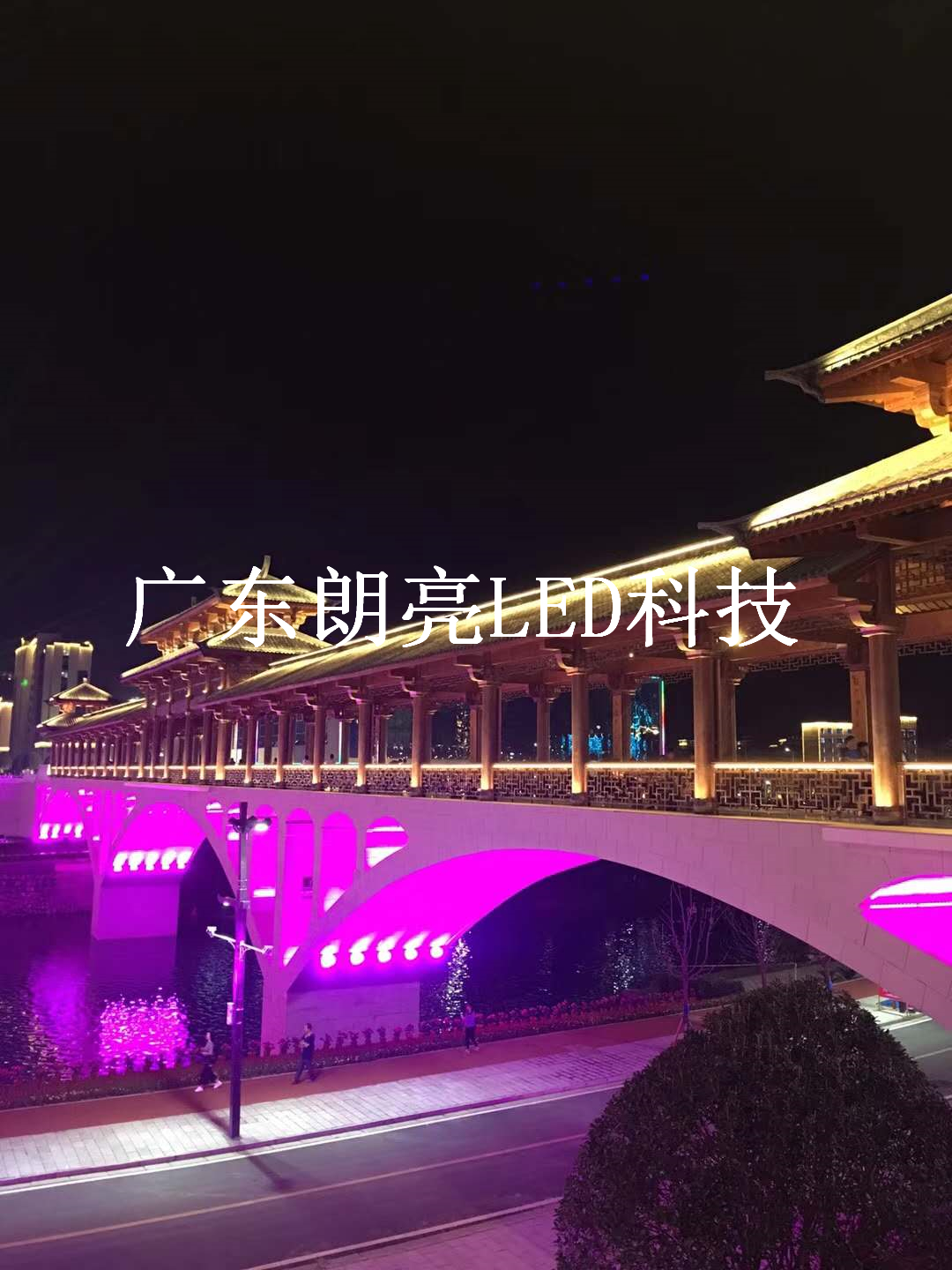 亮化工程灯具